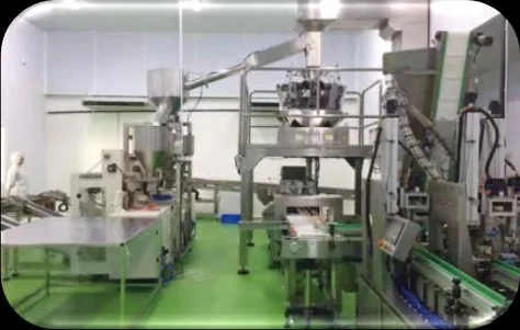 Automated packing line inside the Long Sheng Da production facility