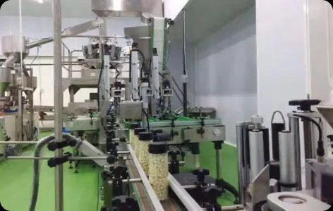 Filling and sealing equipment in the production hall